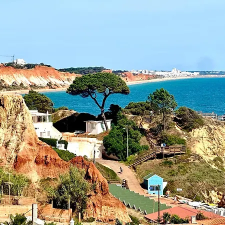Bijou Flat Front, Sea Views, Pool, Garage * 奥霍斯德古阿